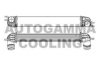 AUTOGAMMA 107106 Intercooler, charger